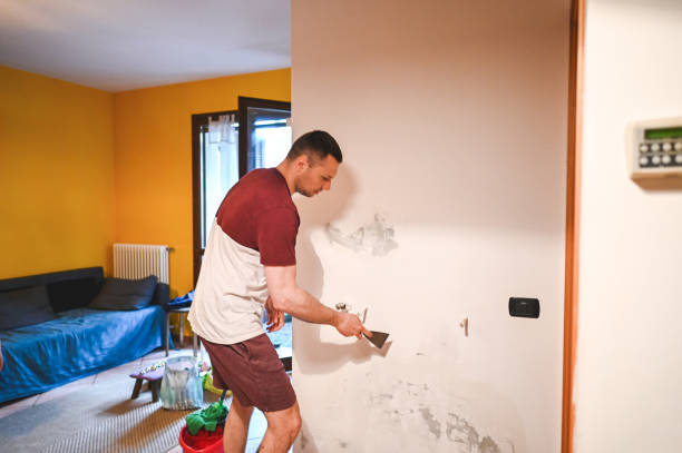 Best Mold Remediation for Schools in Burbank, CA